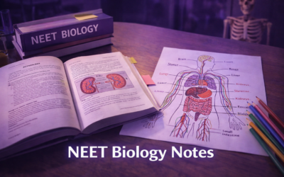 NEET Biology Notes – Human Physiology Complete Guide – Geetha.org.in